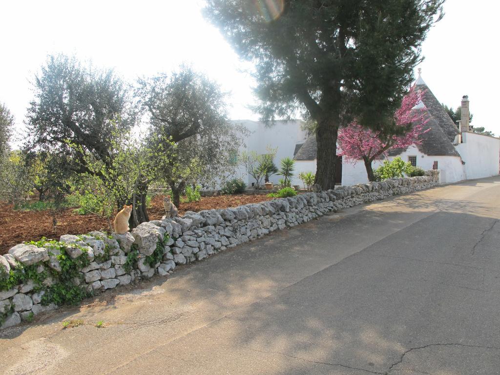 Villa Casa Mario Cisternino Camera foto